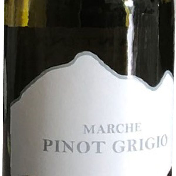 VINO PINOT GRIGIO CANTINA VALDASO CL 75